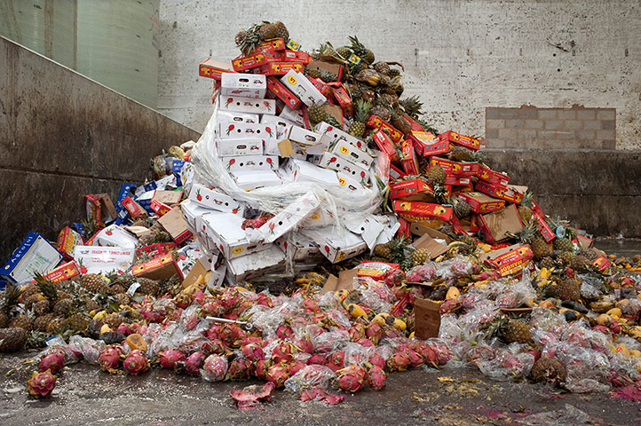 CIWEM 2011 EPOTY: Environmental Photographer of the Year