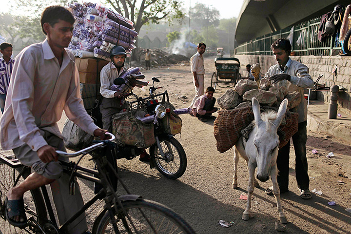 24 hours: New Delhi, India: A labourer loads his donkey with stones on a warm morning