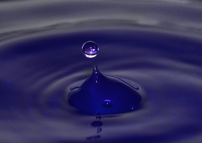 Your Pictures: Your Pictures: water droplet