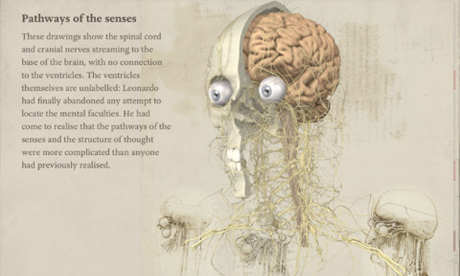 Leonardo da Vinci: Anatomy iPad app