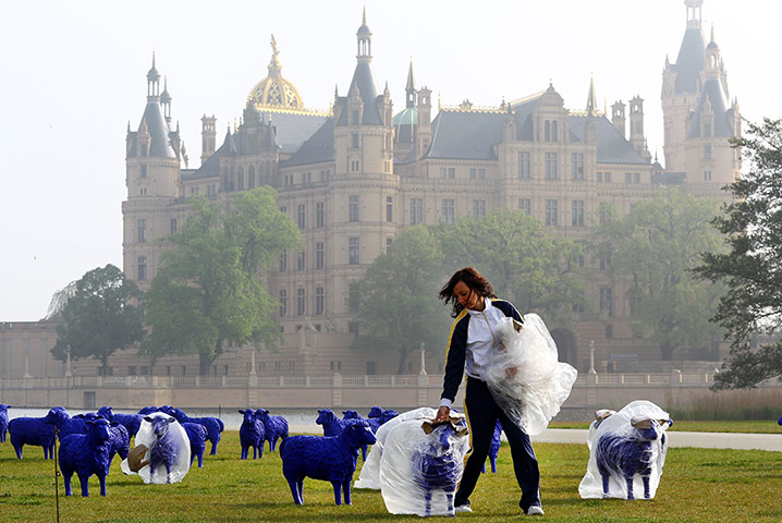 Picture Desk Live: Blue sheep outside Schwerin Castle