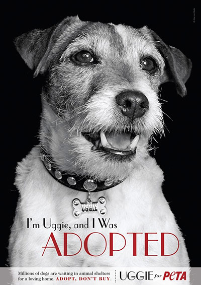 Week in film: Uggie, star of the The Artist, heads up Peta's new campaign