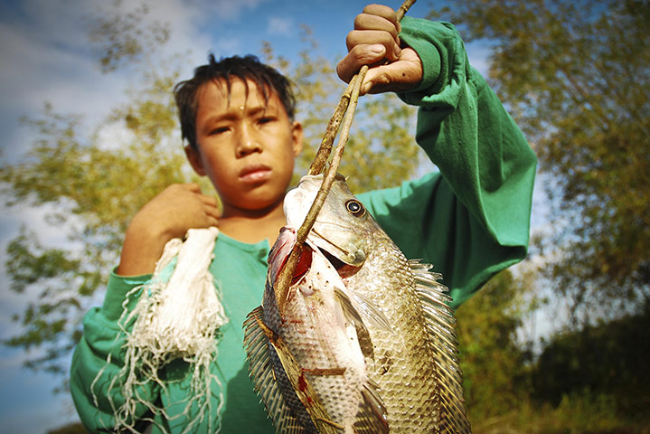 24 hours in pictures: Farmers Harvest Rice In Camarines Sur