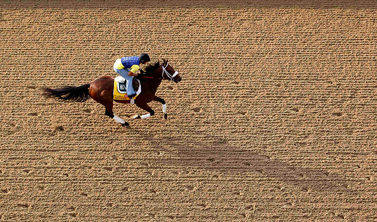 Kentucky Derby: Kentucky Derby hopeful Optimizer with his exercise rider
