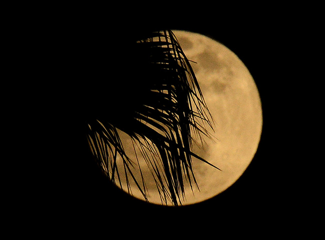 Supermoon: Supermoon os Angeles, California