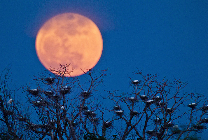 Supermoon: Supermoon, Wichita, Kansas, America - 05 May 2012