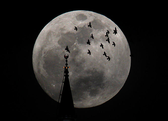 Supermoon: The full moon rises behind a mosque as birds fly in Amman