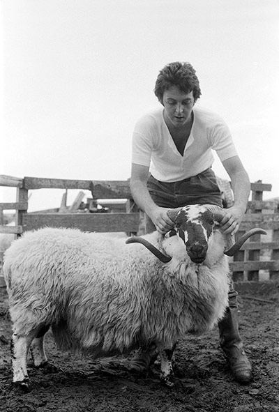 RAM: Paul McCartney and the ram
