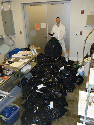 BP Deepwater oilspill: Critically endangered Kemp’s Ridley sea turtle 