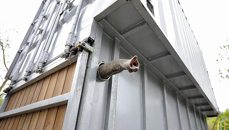 Picture desk live: Unruly elephant Tonya leaves Rotterdam zoo