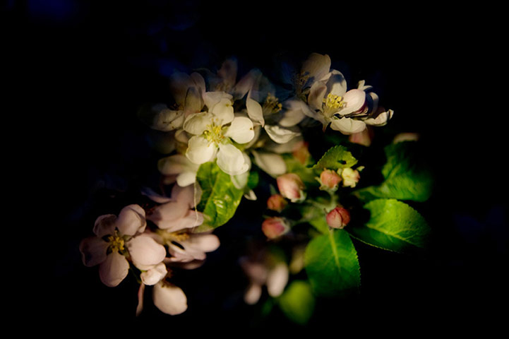 Guardian Camera Club: Louisa Hennessy participates in the photographing a journey assignment