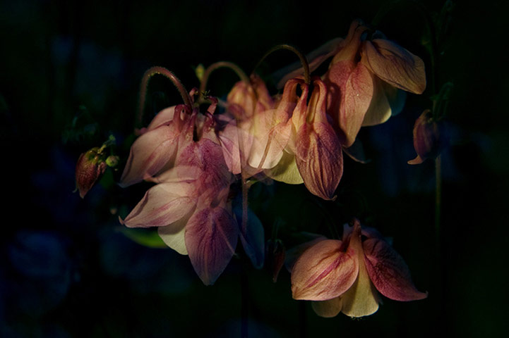 Guardian Camera Club: Louisa Hennessy participates in the photographing a journey assignment