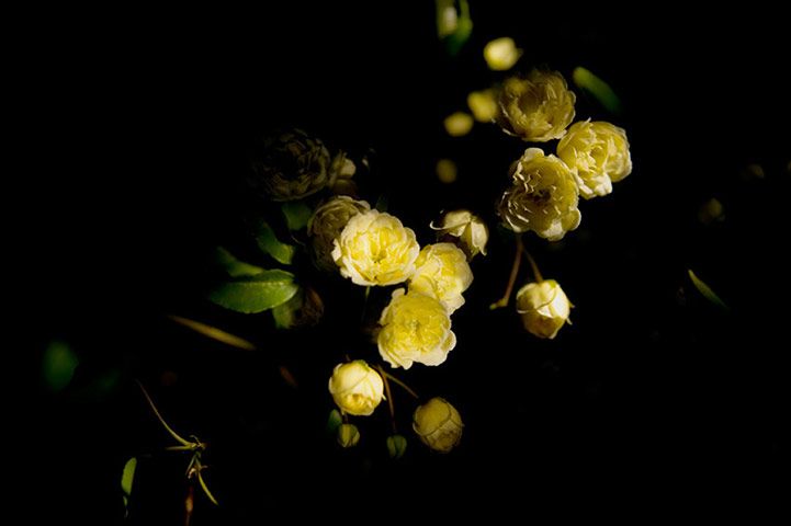 Guardian Camera Club: Louisa Hennessy participates in the photographing a journey assignment