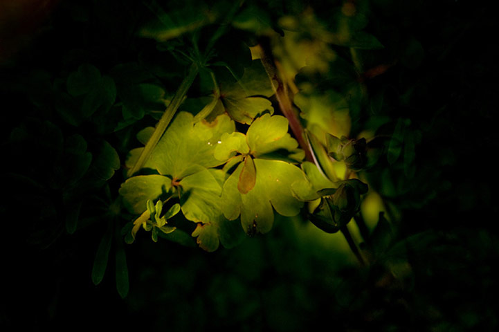 Guardian Camera Club: Louisa Hennessy participates in the photographing a journey assignment