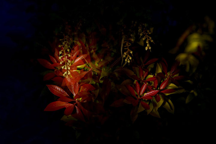 Guardian Camera Club: Louisa Hennessy participates in the photographing a journey assignment