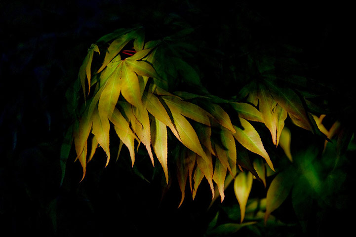 Guardian Camera Club: Louisa Hennessy participates in the photographing a journey assignment