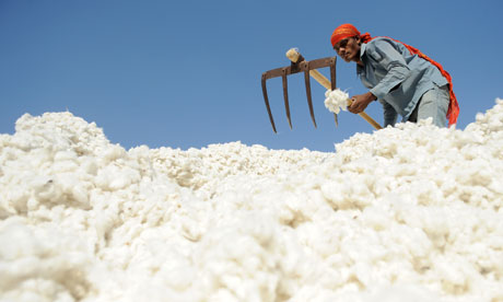 india cotton