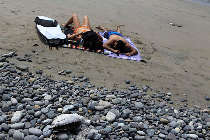 Peru dying pelican: Bathers rest near dead seabirds on the beach at Cerro Azul in Canete, Lima