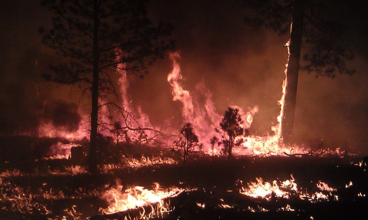 Wildfires in the US: A fire still raging in the Gila National Forest in New Mexico