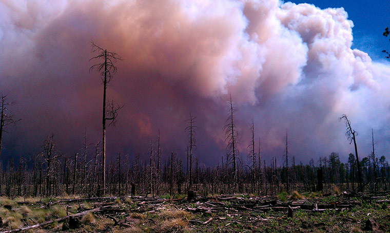 Wildfires in the US: smoke billowing from the site of wildfires at the Whitewater-Baldy Complex