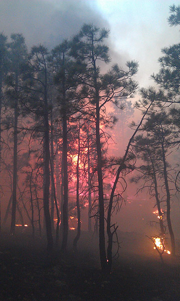 Wildfires in the US: Handout image from the Whitewater-Baldy Complex fire in New Mexico