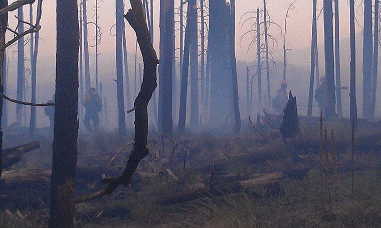 Wildfires in the US: Firefighters are seen moving through the burnt out terrain in New Mexico