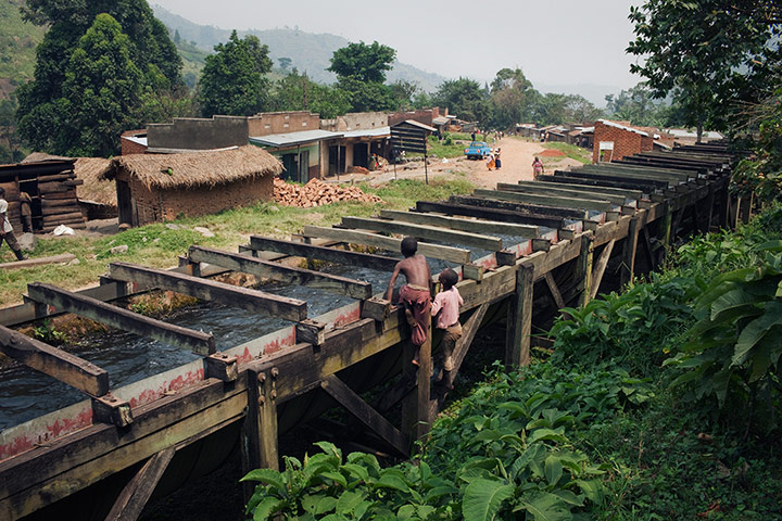 Rwenzori mountains: on the border between Uganda and the Democratic Republic of the Congo