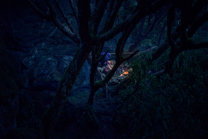 Rwenzori mountains: on the border between Uganda and the Democratic Republic of the Congo