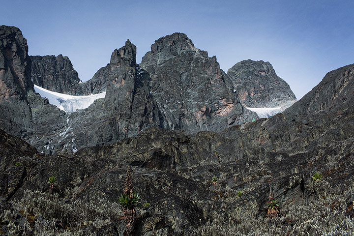Rwenzori mountains: on the border between Uganda and the Democratic Republic of the Congo