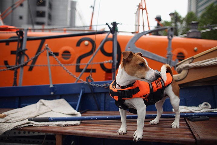 Diamond Jubilee : Diamond Jubilee preparations