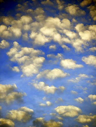 Green Shoots: green spaces you treasure 