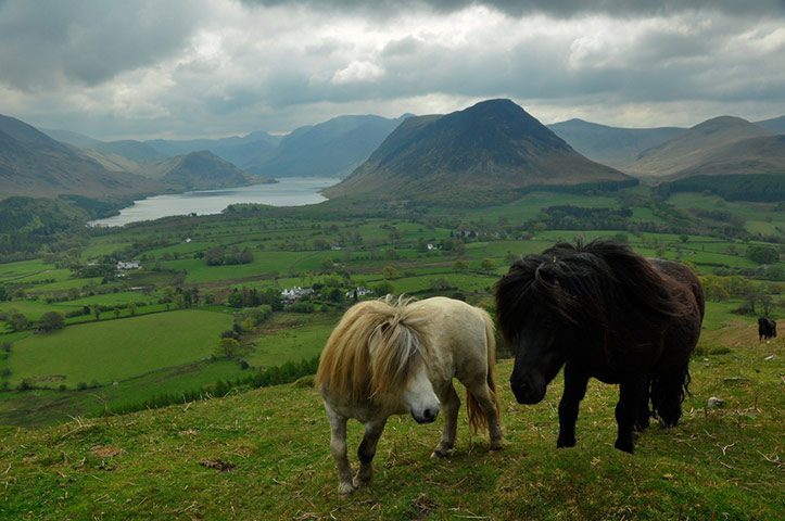 Green Shoots: green spaces you treasure 