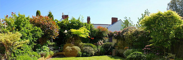 Green Shoots: green spaces you treasure 