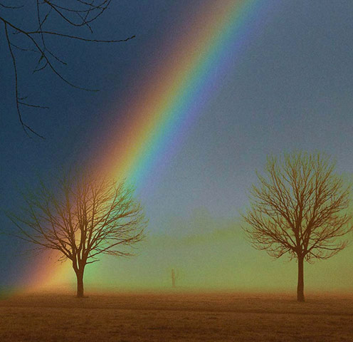 Green Shoots: green spaces you treasure 