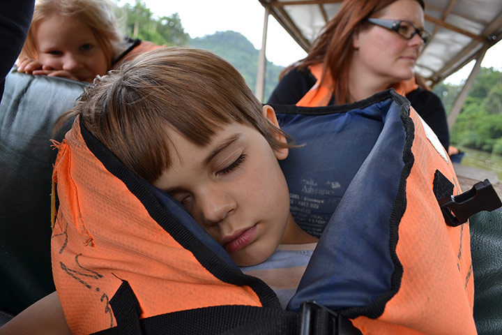 Your Pictures: Your Pictures: Spotting monkeys was not enough to keep our son awake