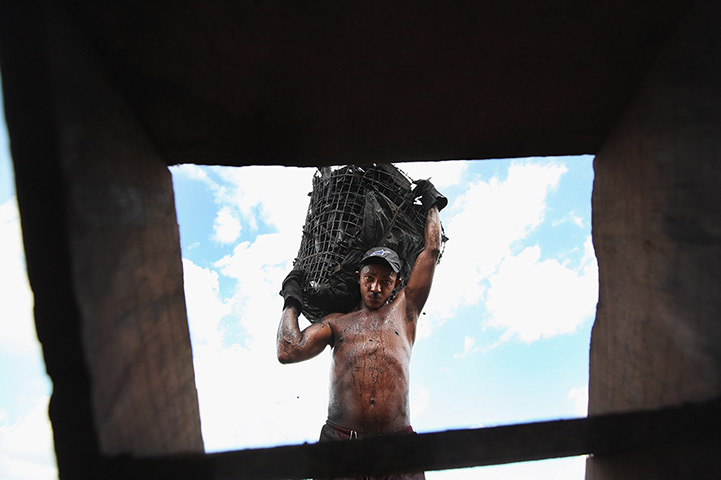 Amazon deforestation : A worker carries a basket of charcoal