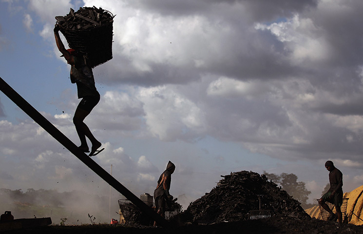 Amazon deforestation : A worker carries a basket of charcoal