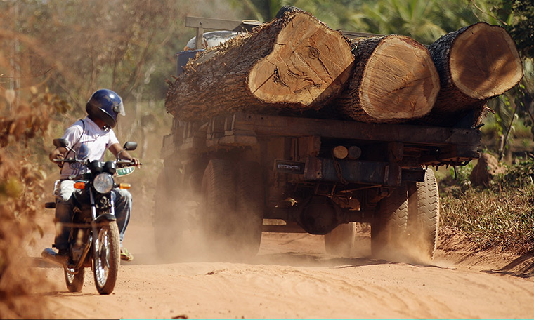 Amazon deforestation : Truck transports illegally harvested logs