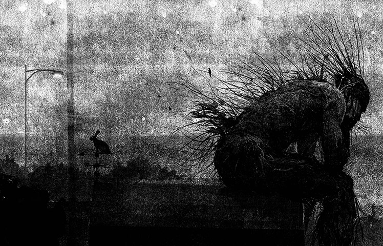 Carnegie and Greenaway : illustration from the book A Monster Calls by Jim Kay 2