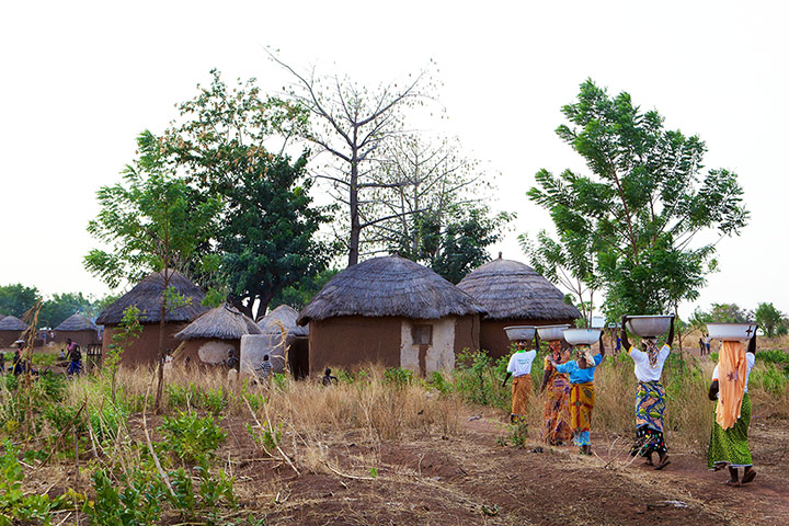Body shop shea butter: Lily Cole's Visit to Ghana