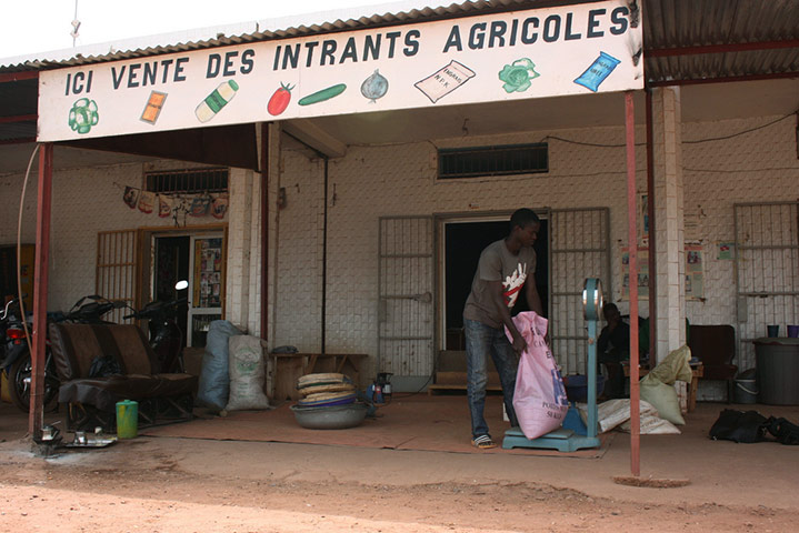 Mali: first woman seed entrepreneur