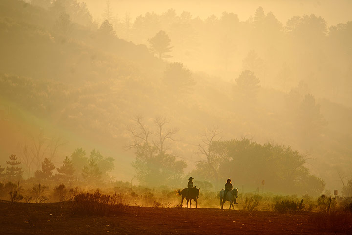 Picture Desk Live: Forest fires in Colorado