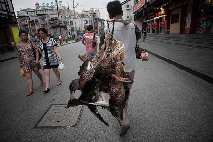 24 hours in pictures: A man peddles ducks on a street