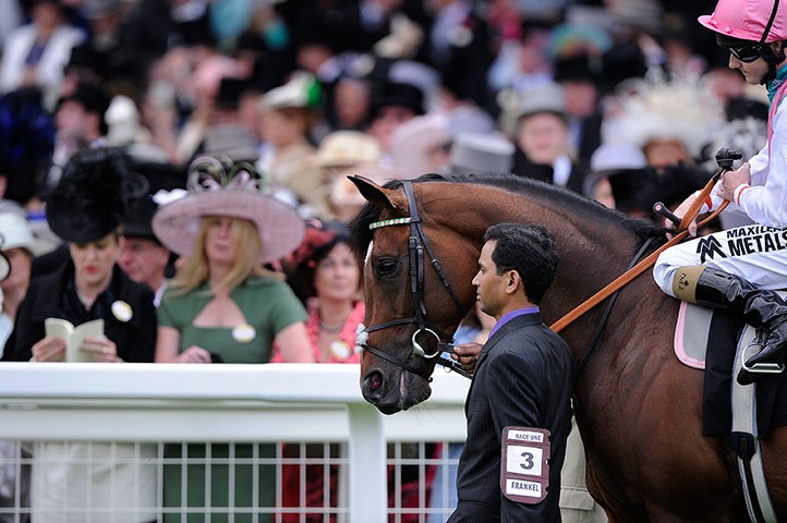 Frankel - TJ: Frankel at Royal Ascot 2012