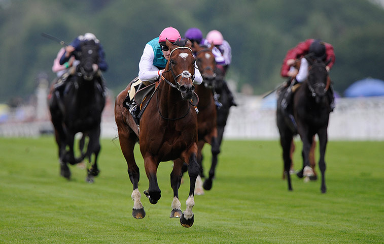Frankel - TJ: Royal Ascot 2012