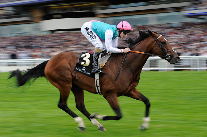 Frankel - TJ: Royal Ascot 2012