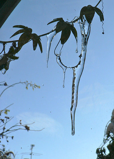 Your Pictures: Your Pictures - melt: icicles against a cloudless blue sky