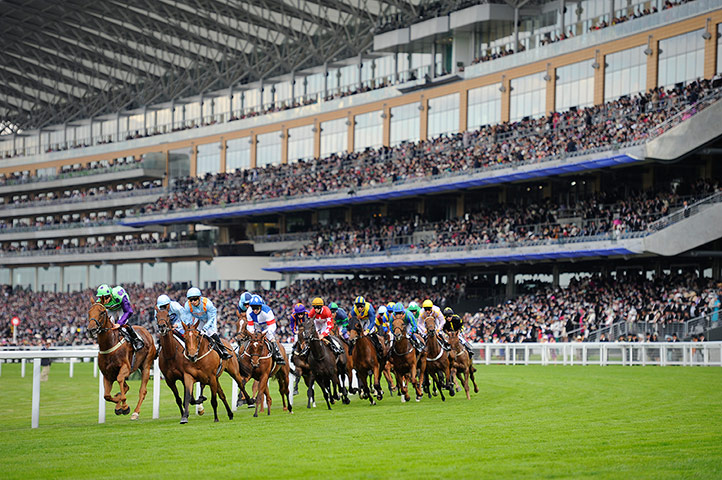 Ascot2: Royal Ascot 2012