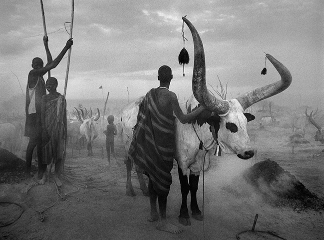 Sebastiao Salgado: A Dinka group at Pagarau cattle camp, Southern Sudan, 2006