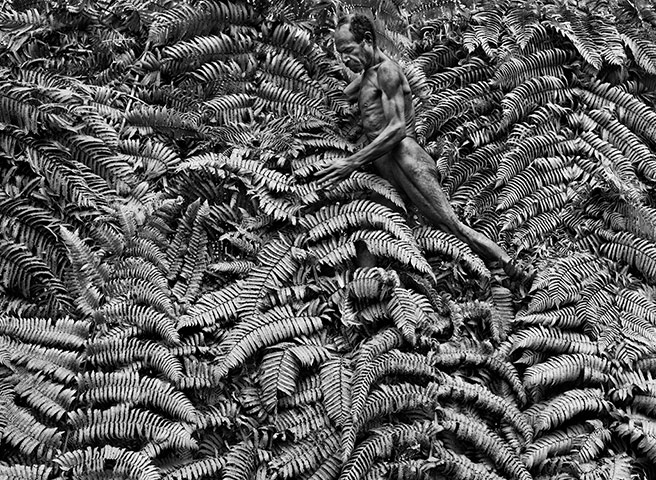 Sebastiao Salgado: A Yali man in the Jayawijaya mountains of Irian Jaya, West Papua